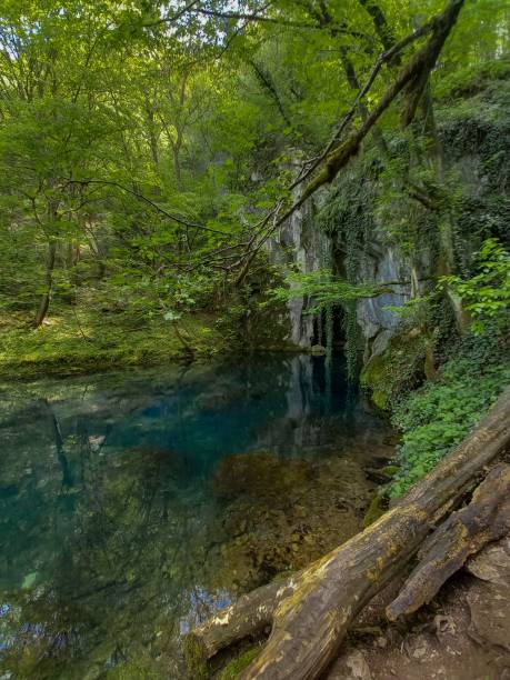 istock View of a waterfall in the forest 1433083495
