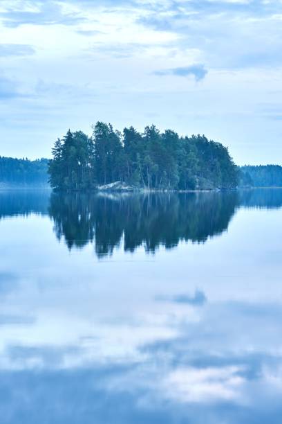 istock Vertical shot of a lake with a reflection of a forest 1433084110