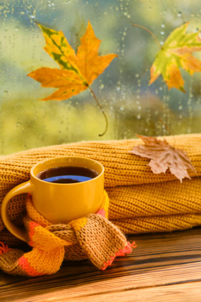 istock A cup of hot tea with a scarf, books 1433085249