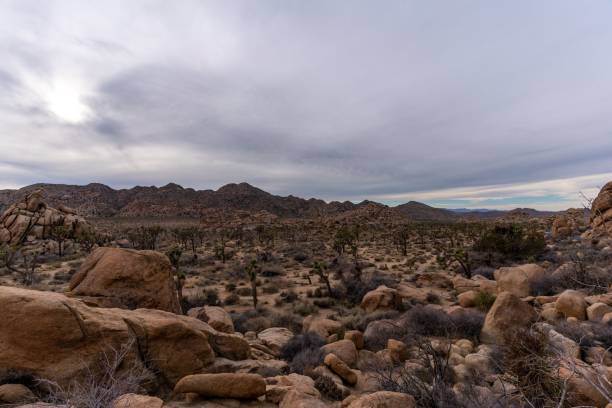 istock Rock formations under a cloudy sky at Joshua Tree National Park in California 1433085260