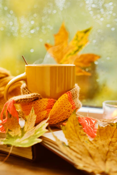istock A cup of hot tea with a scarf, books 1433085464