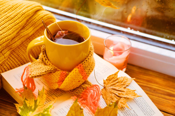 istock A cup of hot tea with a scarf, books 1433086084