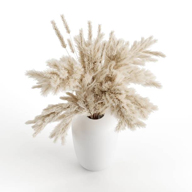 istock High-angle 3D rendering of a white apothecary vase with dried pampas grass on a white background 1433087776