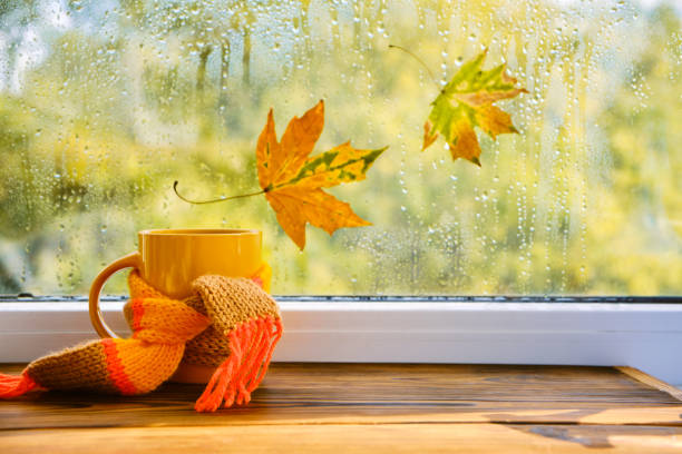 istock A cup of hot tea with a scarf, books 1433087966