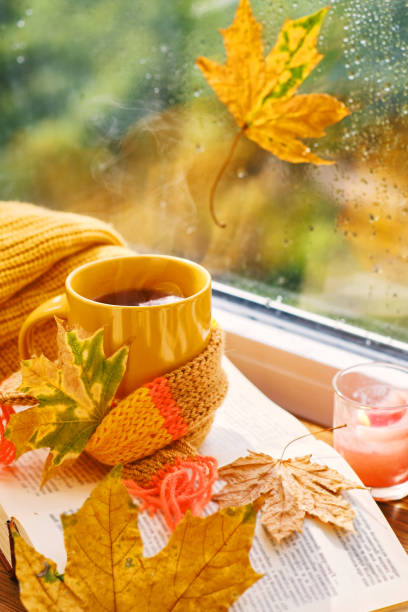 istock A cup of hot tea with a scarf, books 1433088287