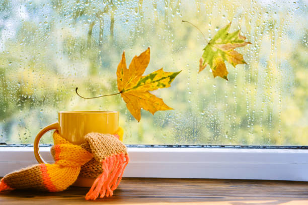 istock A cup of hot tea with a scarf, books 1433088347