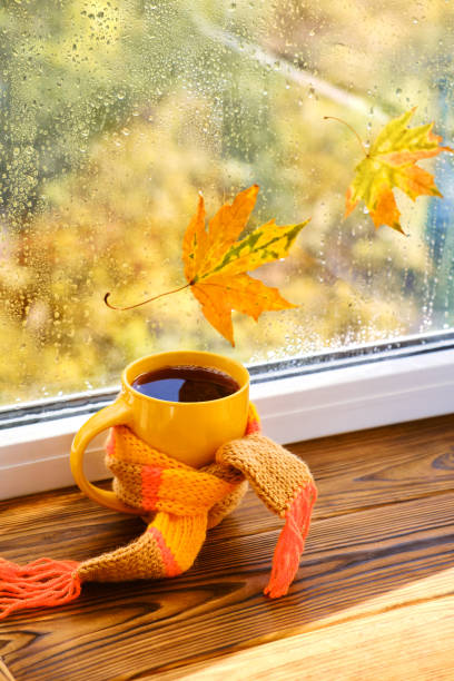 istock A cup of hot tea with a scarf, books 1433088677