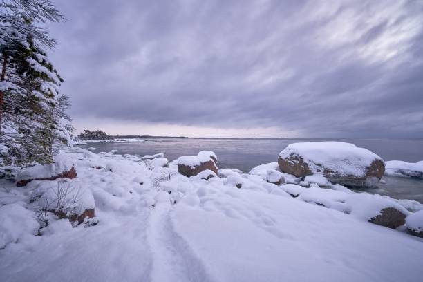 istock Dried trees by the lake covered by snow 1433088883