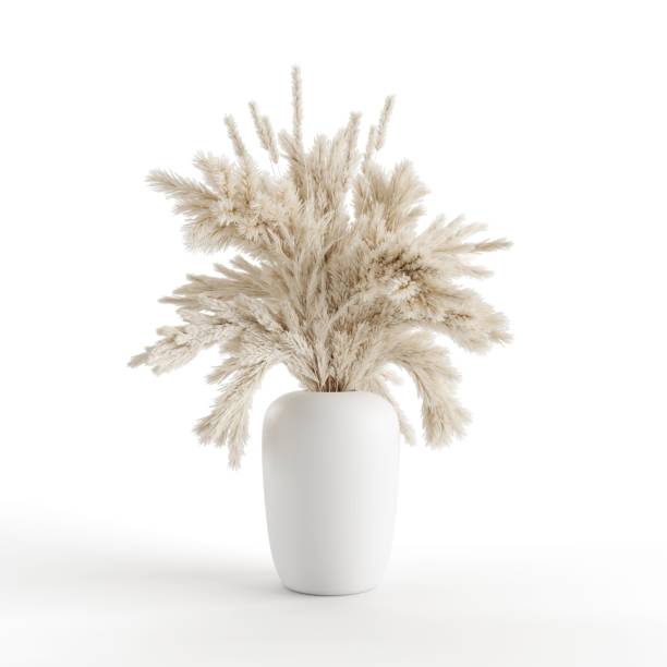 istock 3D rendering of a white vase with pampas grass on a white background 1433088965
