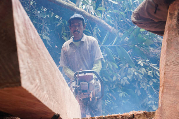 istock Man Chopping Wood With Chainsaw. Deforestation - Stock Photo 1433089024