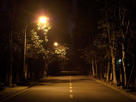 A night view of an empty street with trees around and lights on