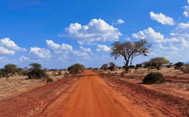 istock Nature Landscape in Tsavo National Park, Kenya 1433089193