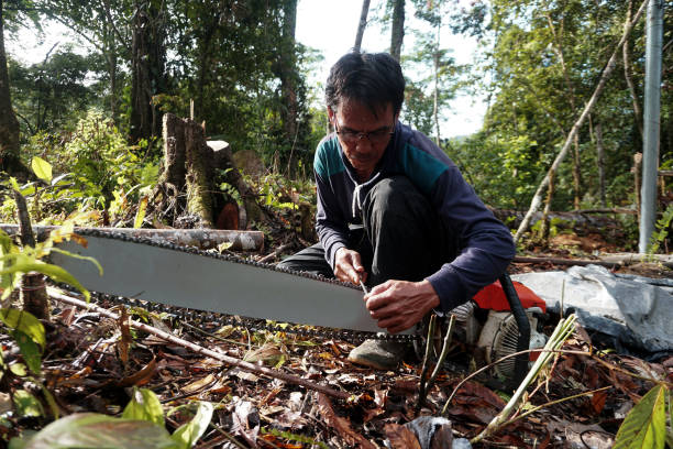 istock Man Sharpening Chainsaw Blade - Stock Photo - Deforestation 1433089249