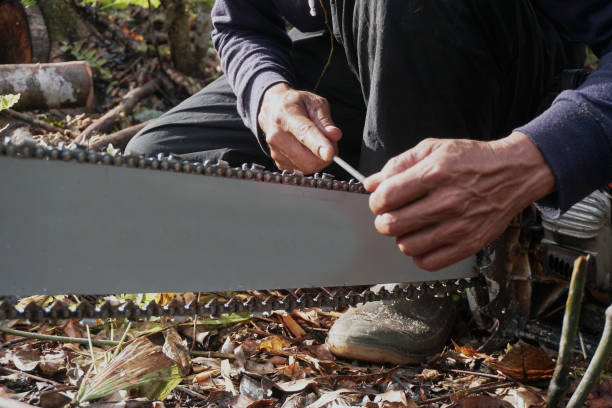istock Man Sharpening Chainsaw Blade - Stock Photo - Deforestation 1433089270