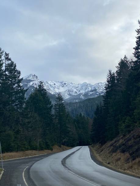 istock Road trip with the alps and surrounded by trees on a gloomy day 1433089568
