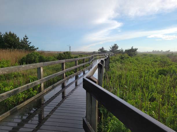 istock Wet wooden pathway through a field under a cloudy sky 1433089657