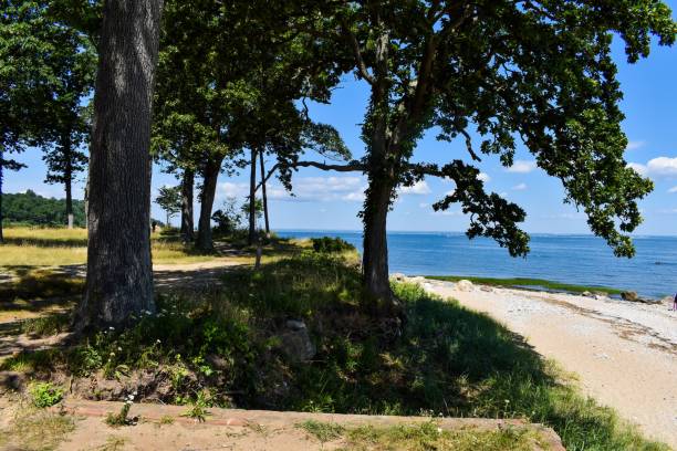 istock Beautiful landscape with the tranquil sea on a sunny day 1433089995
