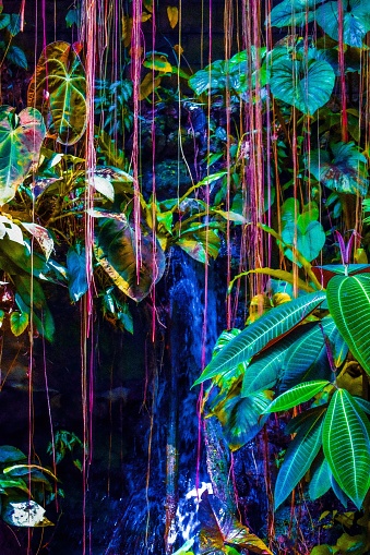 A vertical shot of plants and vines with a water cascade illuminated with fluorescent lights in the background.