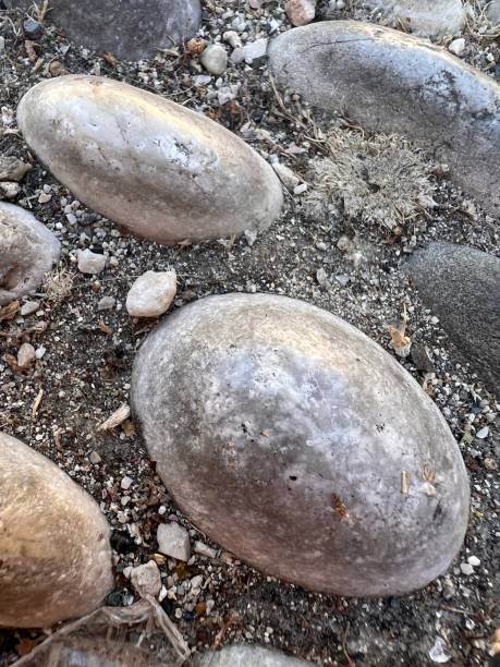 istock Close-up shot of rocky ground texture 1433092241