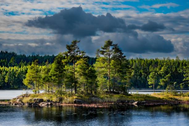 istock Scenic lakeside with a small island and coniferous trees under the cloudy sky 1433092602