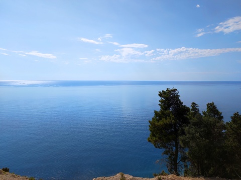 A beautiful seascape under a clear blue sky with green pine trees during daytime