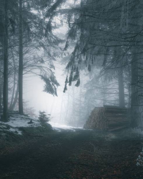 A beautiful landscape of a frozen pathway in a forest.