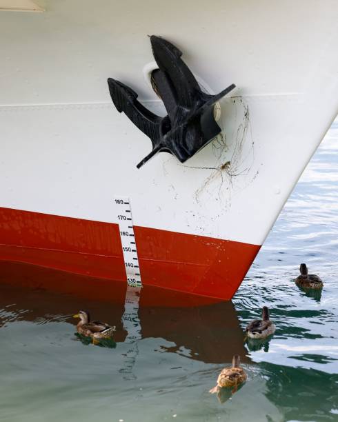 istock Ship bow holds anchor with a depth gauge scale and ducks just in front of the bow. 1433094741
