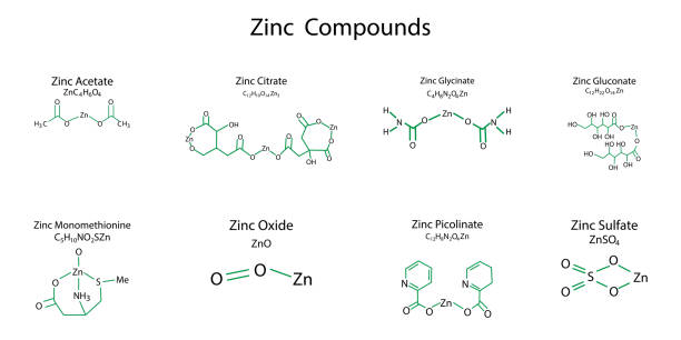 zinc compounds on white background. Infographic element. Education concept. chemical formula. Vector illustration. stock image. zinc compounds on white background. Infographic element. Education concept. chemical formula. Vector illustration. stock image. EPS 10. zinc element stock illustrations