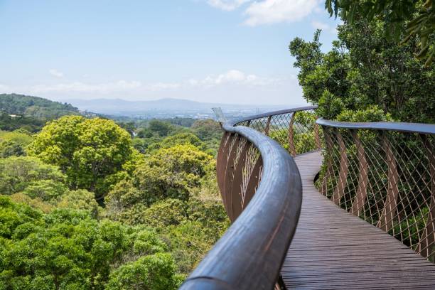 istock Walkway on the hillside in the green park 1433095137