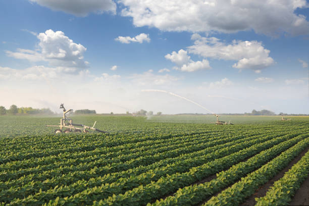 sistema di irrigazione su campo agricolo di soia - nature rain crop europe foto e immagini stock