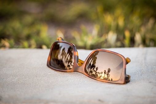 A clsoeup shot of stylish sunglasses reflecting palm trees outdoors on a sunny day