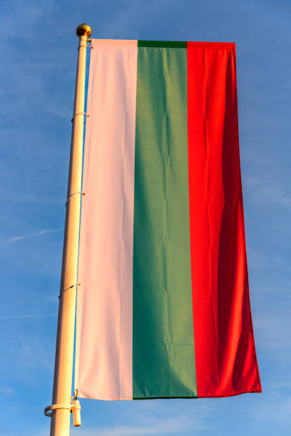 istock National flag of Bulgaria 1433098102