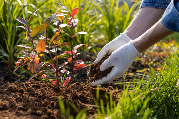 A man works in his own garden. hands close up