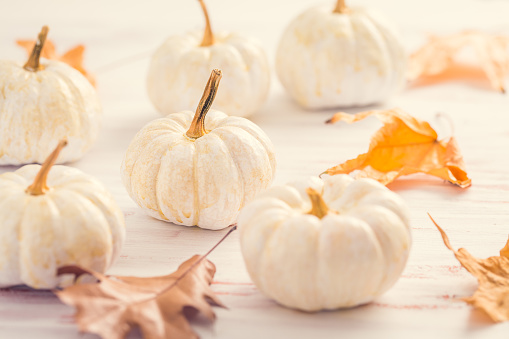 White pumpkins with autumn leaves on wooden background in vintage style. Thanksgiving and Halloween concept.