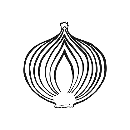 Onion slice outline. Hand drawn vector illustration. Farm market product, isolated vegetable.