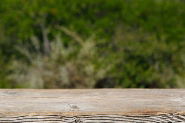 istock Wooden table on blurred nature background, Natural template for display product. 1433107679