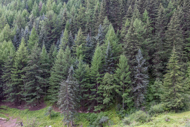 istock The natural scenery of Luya Mountain 1433107884