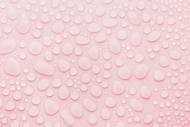 istock Water drops on soft light pink background as sweet fresh gentle trendy color pattern with shiny round drops, top view. 1433107907