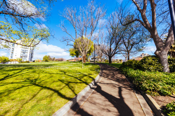 istock Princes Park in Hobart Tasmania Australia 1433108320