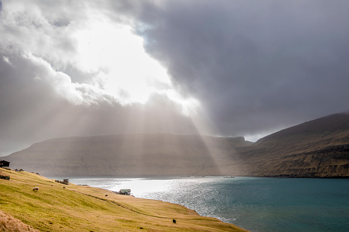 Vágar, Faroe Islands - March 19, 2022; A flock of sheep grazing on a field while the sun breaks through the clouds.