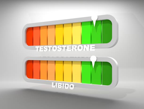 Sexual activity and testosterone meter scales. The libido level measuring device. Dependence of sexual activity on testosterone levels. 3D render stock photo