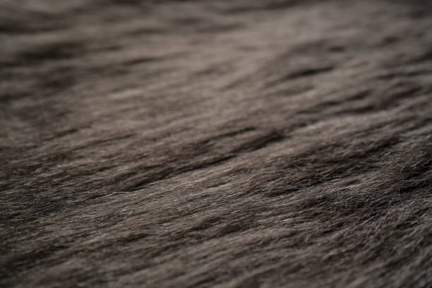 istock Beautiful faux fur as background, closeup view 1433112977