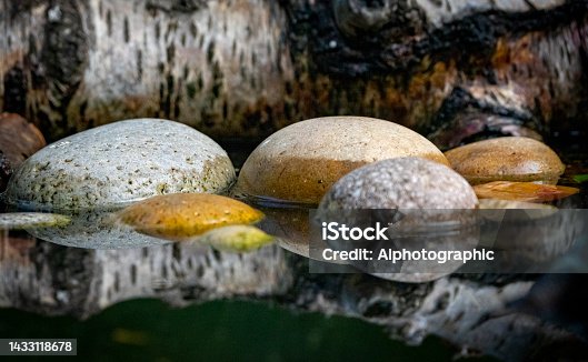 istock Smooth pebbles in a pond 1433118678