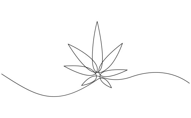 ilustrações de stock, clip art, desenhos animados e ícones de cannabis leaf continuous line art. marijuana in minimalist style. one line art. - canábis narcótico