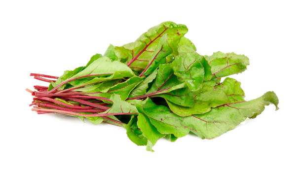 istock Red beet leaves on a white background for vitamin salad. 1433119552