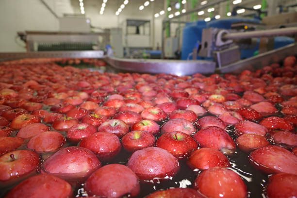 istock Apples washing and grading in a fruit packing warehouse 1433119797