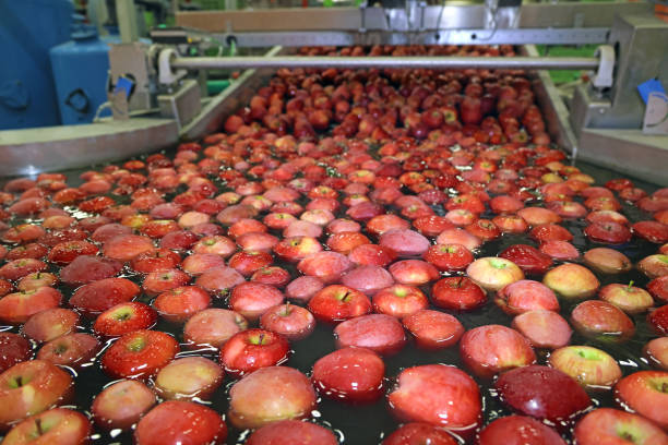 istock Apples washing and grading in a fruit packing warehouse 1433119833