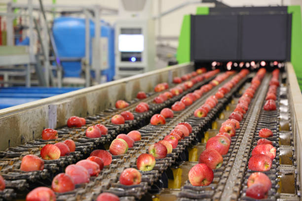 istock Clean fresh apples moving on conveyor 1433119906