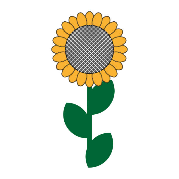 빈티지 해바라기. 빈티지 꽃 배경. 벡터 일러스트레이션. 스톡 이미지. - bee flower backgrounds golden sunflower stock illustrations