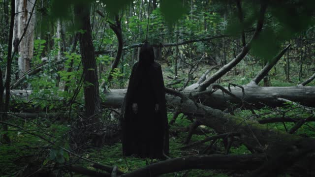 A mysterious black figure in a tunic and hood stands in the middle of a dark forest. Witch and evil in the forest.